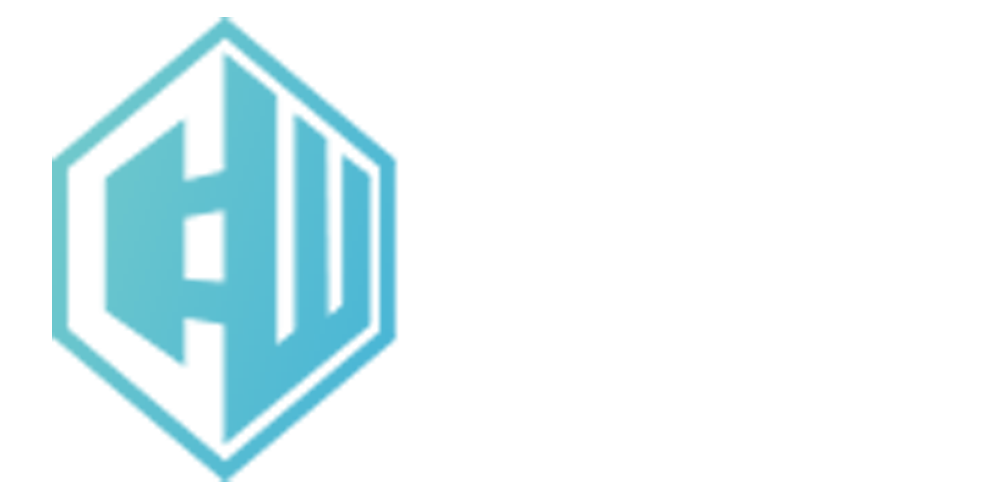 V3